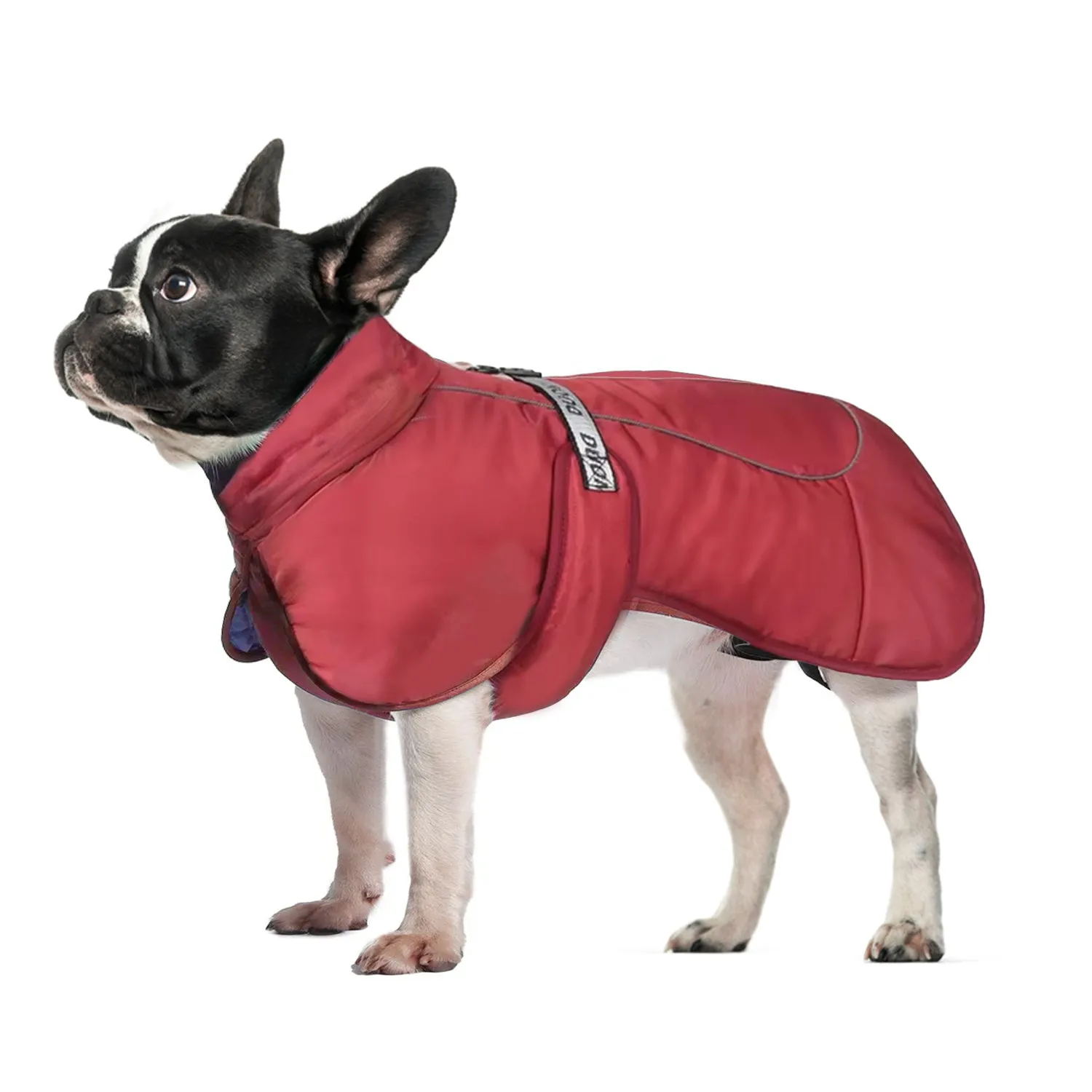 Cozy Frenchie Winter Jacket Thicken Warm Dog Coat