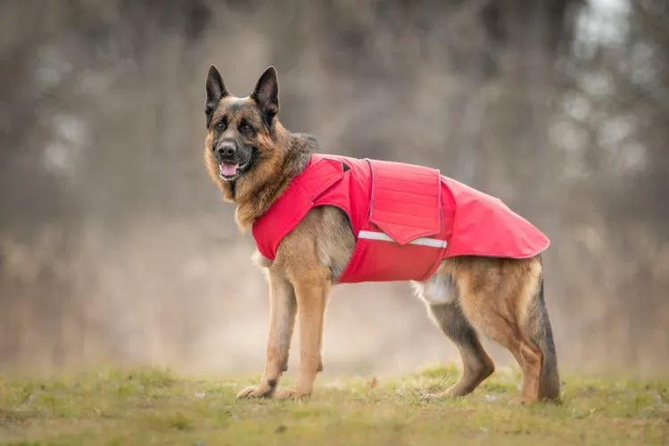 GERMAN SHEPHERD SOFTSHELL DOG COAT / MADE TO ORDER