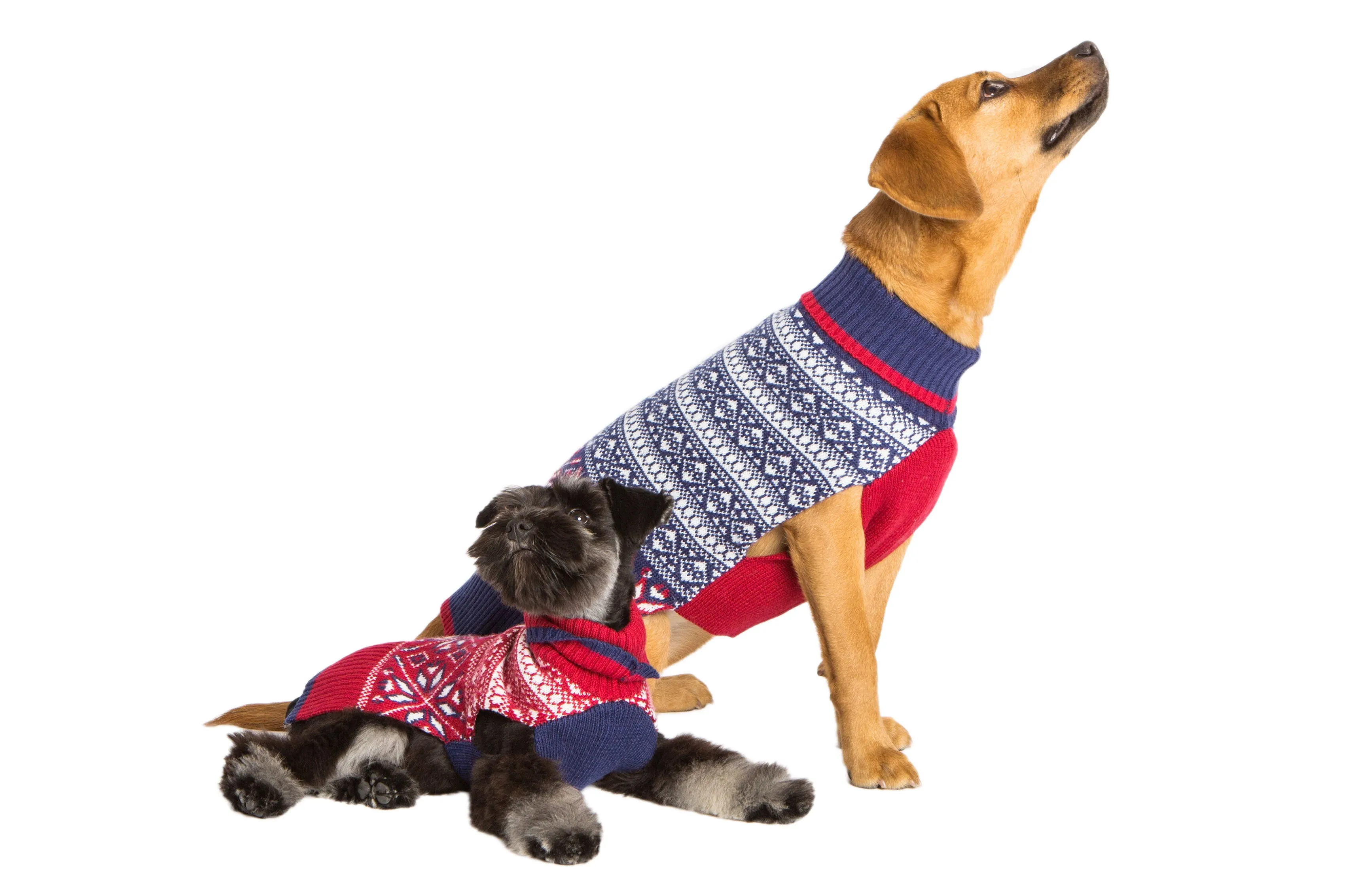 Wool Dog Sweater - Whistler Fair Isle - Blue Sweater & Red Sweater